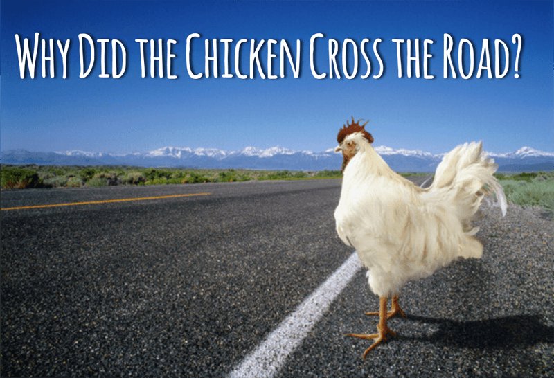 Learn about juego chicken road