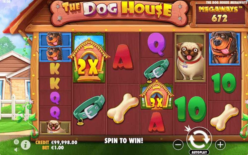 CasinoWise's Expert Tips for The Dog House Megaways in Canada