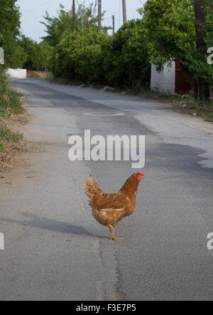 Chicken road jugar - Conoce las Reglas y Beneficios del Público de Chicken Road Casino en España